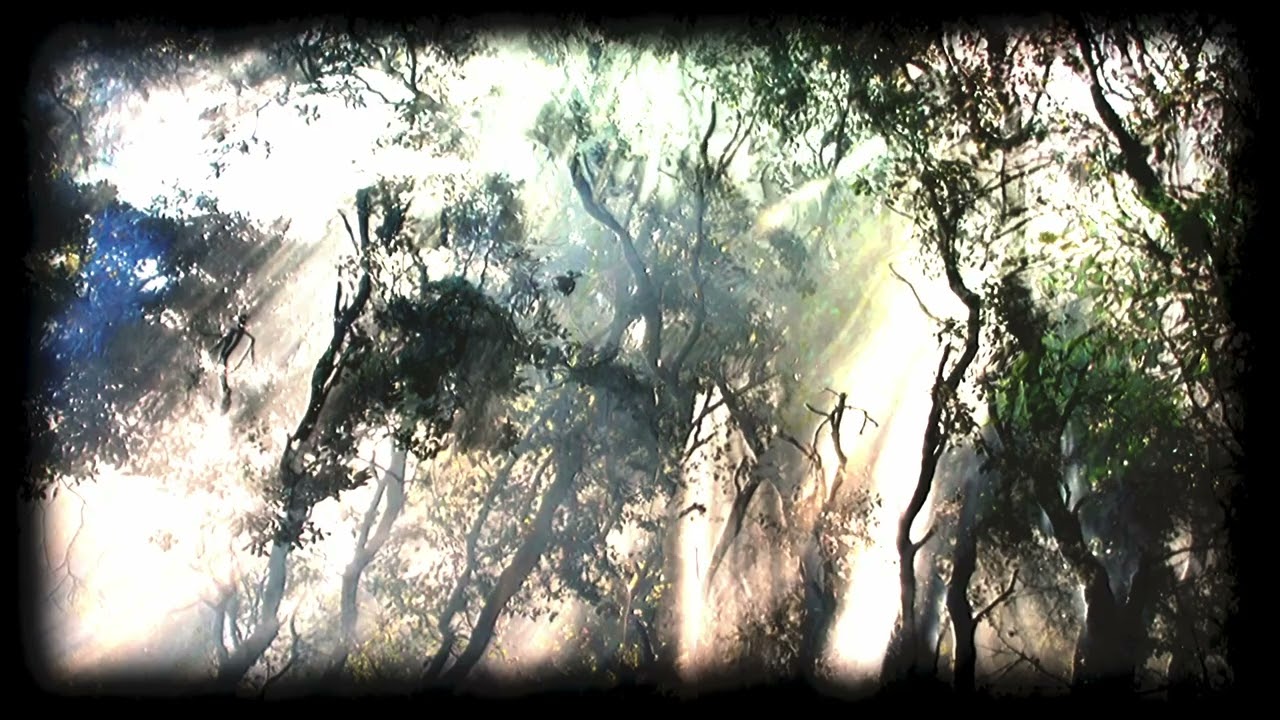 Acc & BH – Overtone (The Winter Song of the Smoking Trees)