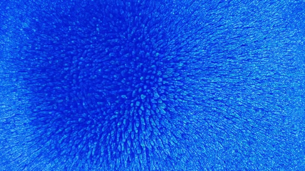 Immersion – Alone (Iron Powder Visual)